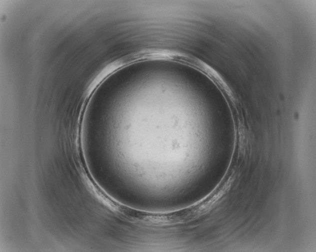 X0000086031194200703231204