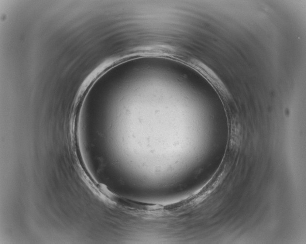 X0000086031196200703231204