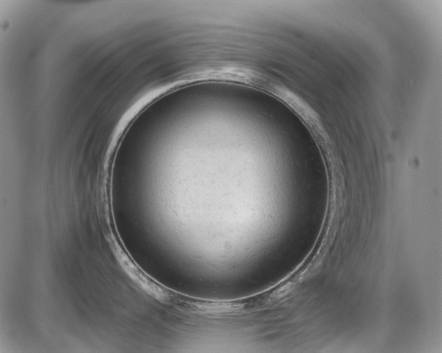 X0000086031200200703231204