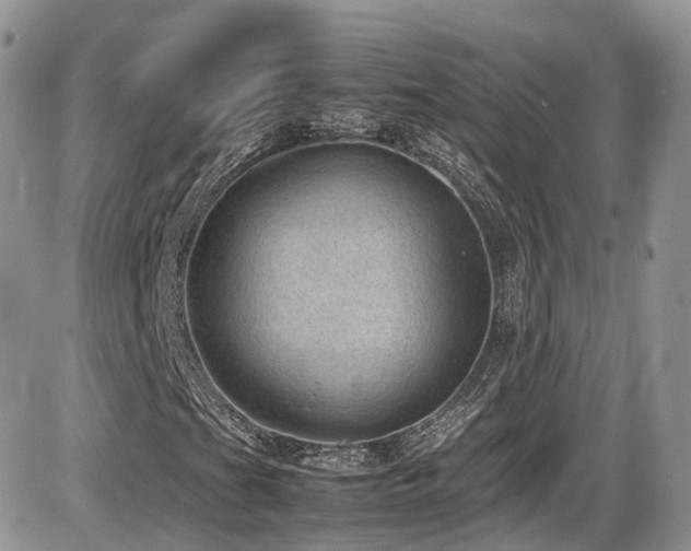 X0000086031201200703231203