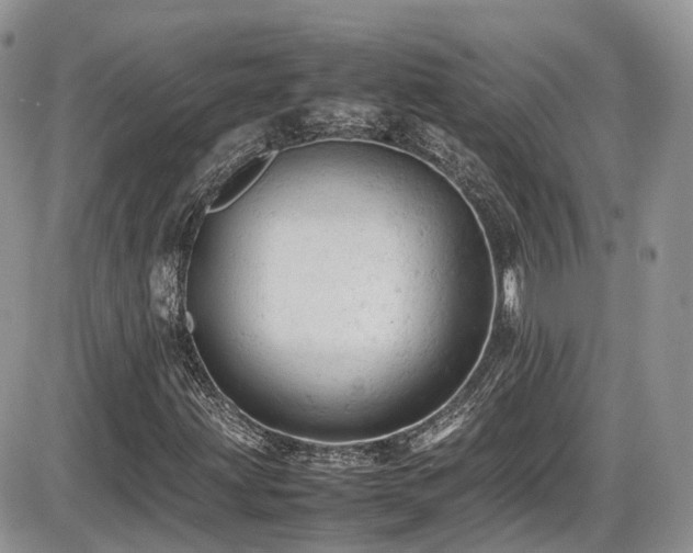 X0000086031203200703231203