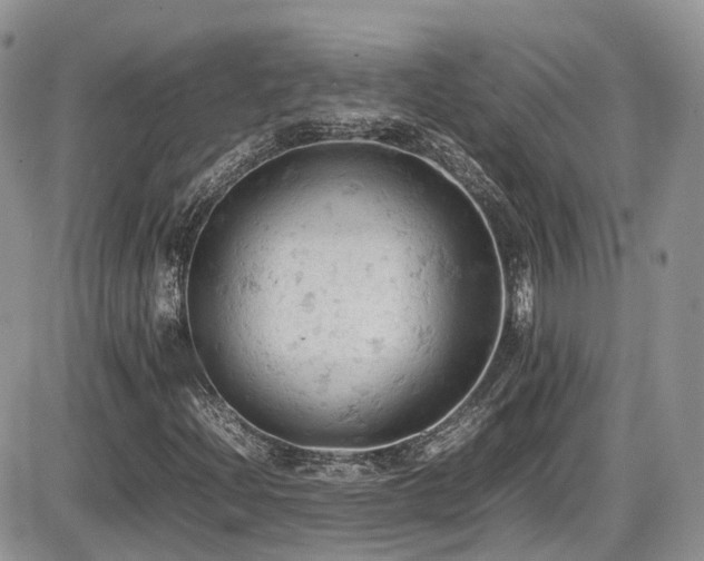 X0000086031204200703231203
