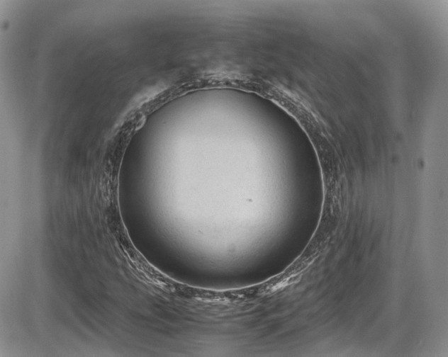 X0000086031207200703231203