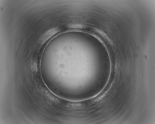 X0000086031209200703231203