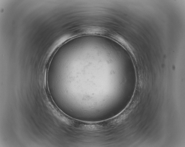 X0000086031227200703231203