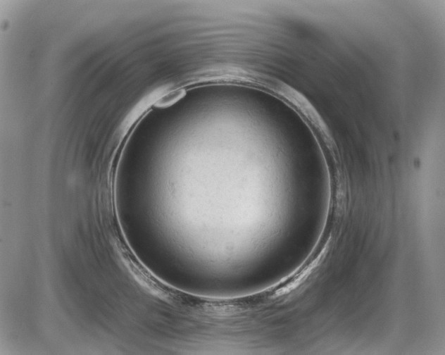 X0000086031242200703231204