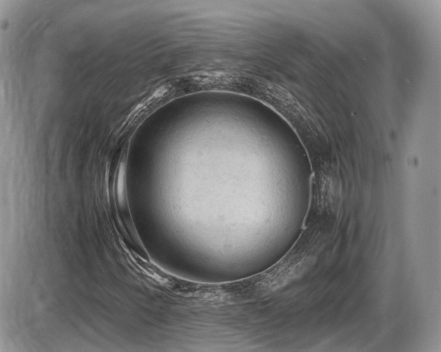 X0000086031250200703231203