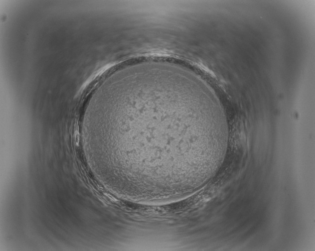 X0000086031255200703231203