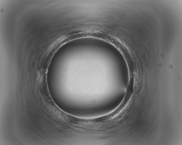 X0000086031257200703231203