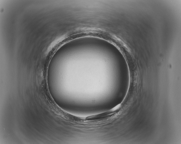 X0000086031261200703231203