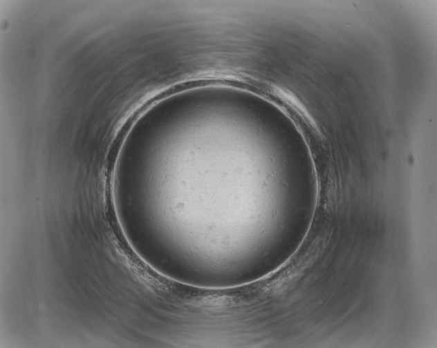 X0000086031268200703231203