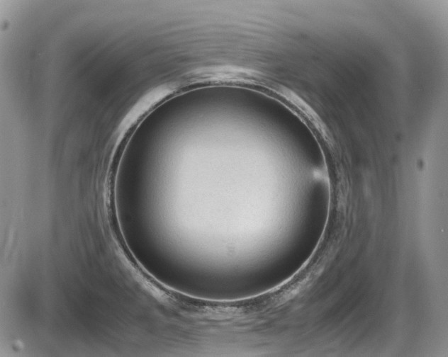X0000086031285200703231202