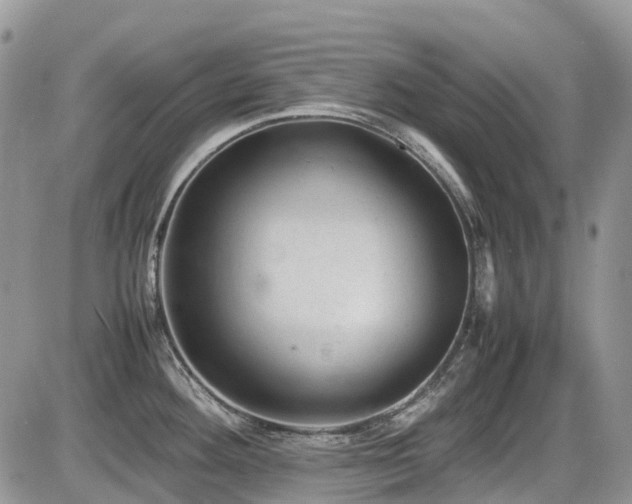 X0000086031292200703231202