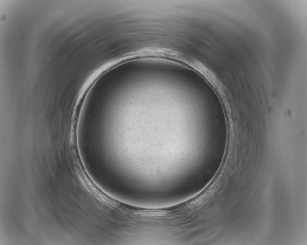 X0000086031296200703231202