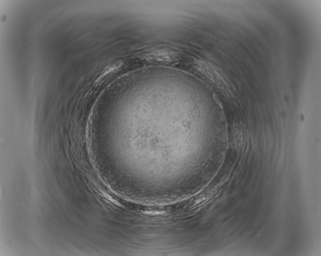 X0000086031297200703231201