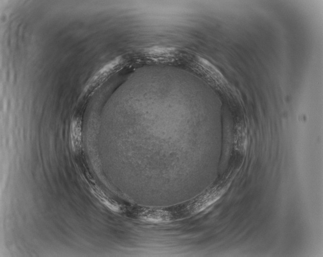 X0000086031298200703231201