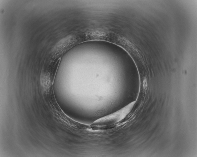 X0000086031299200703231201