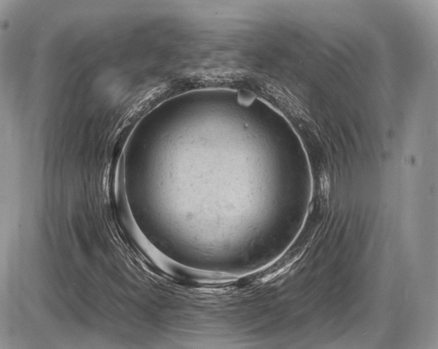 X0000086031300200703231201