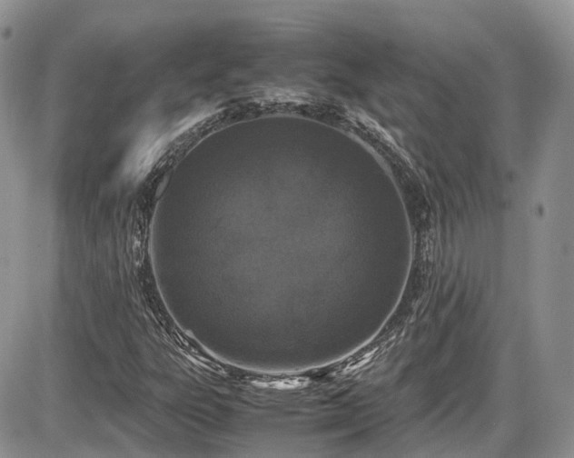X0000086031303200703231201