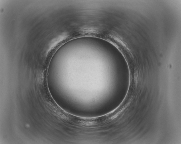 X0000086031309200703231201