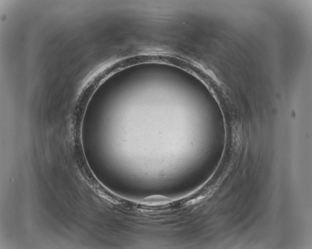 X0000086031311200703231201