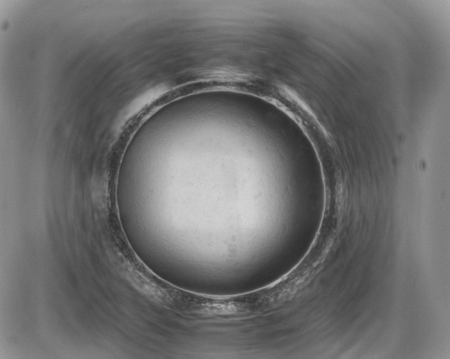 X0000086031315200703231202