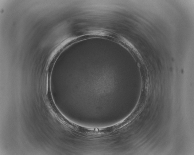 X0000086031323200703231202