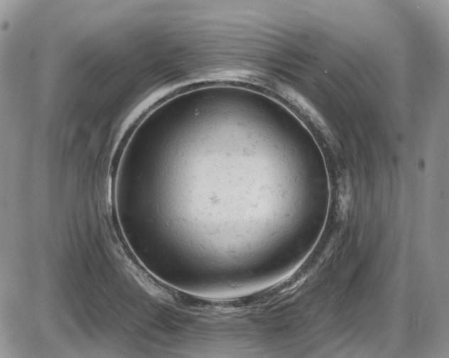 X0000086031324200703231202