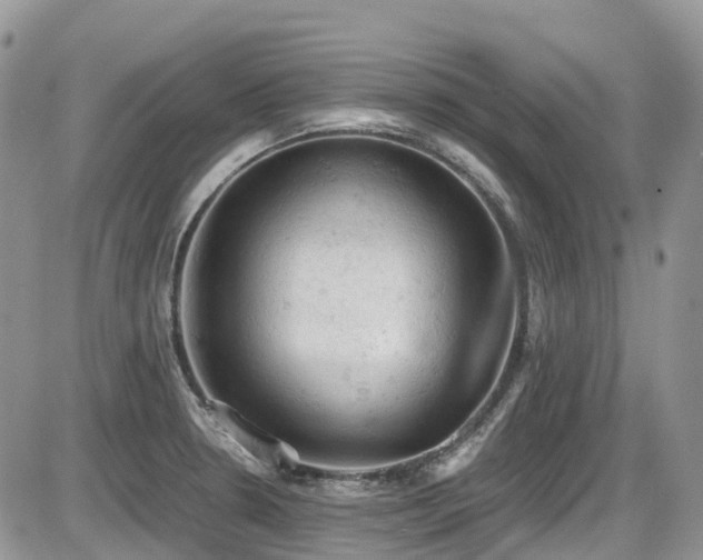 X0000086031330200703231202