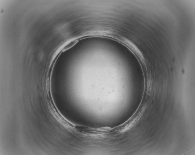 X0000086031340200703231202