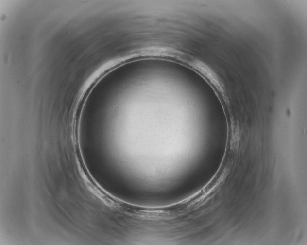 X0000086031342200703231202