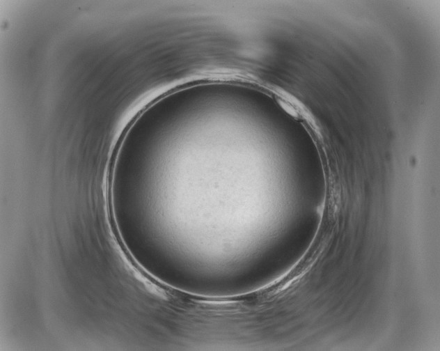 X0000086031343200703231202