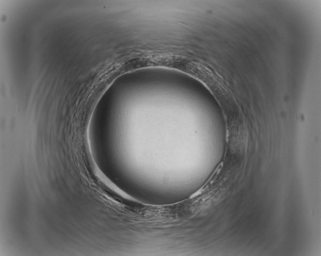 X0000086031345200703231201