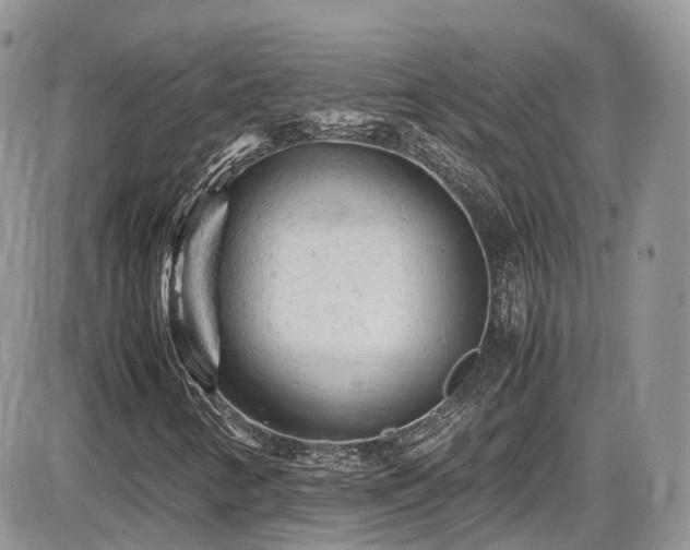X0000086031346200703231201