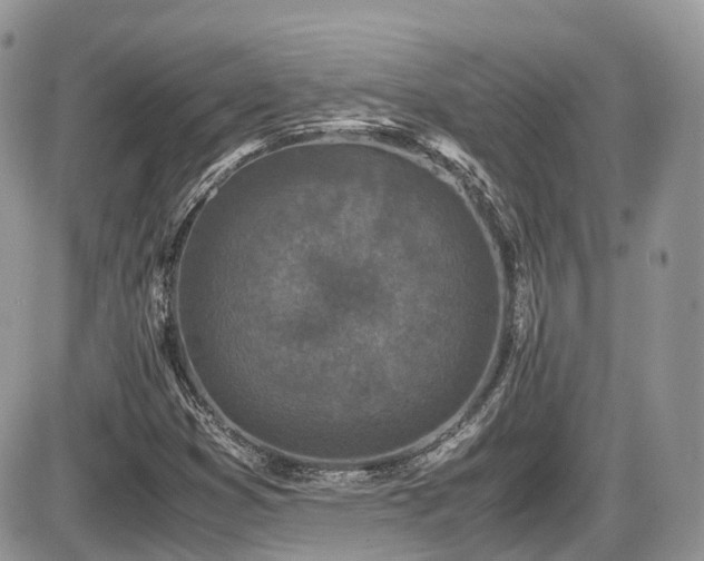 X0000086031353200703231201