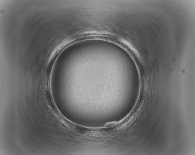 X0000086031357200703231201