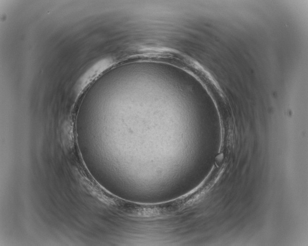 X0000086031362200703231201