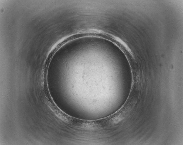 X0000086031364200703231201