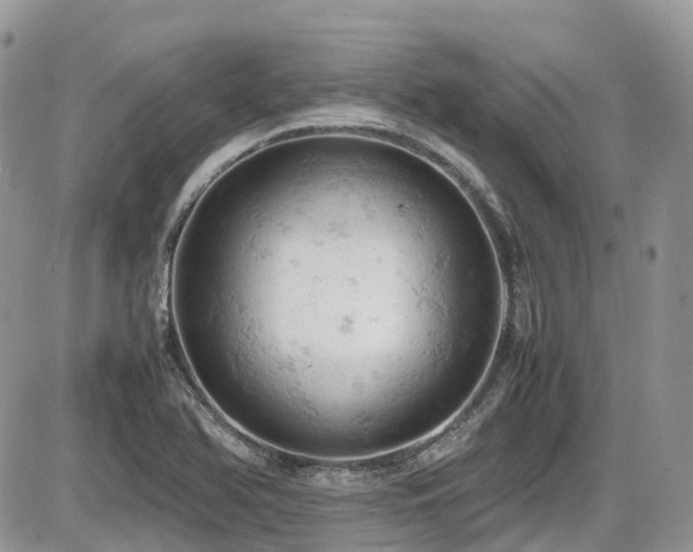 X0000086031366200703231201