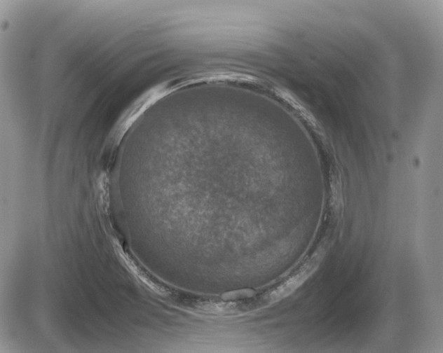 X0000086031369200703231201