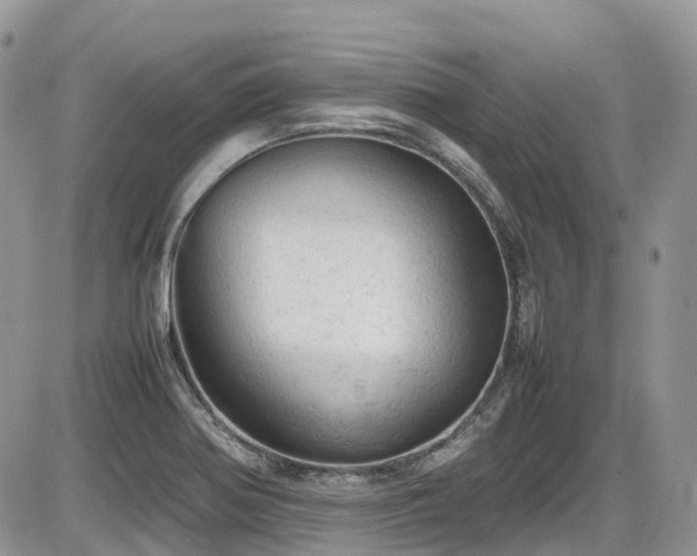 X0000086031370200703231201