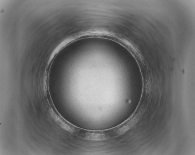 X0000086031374200703231201