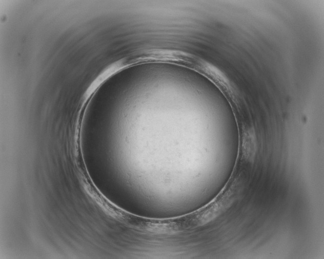 X0000086031378200703231201