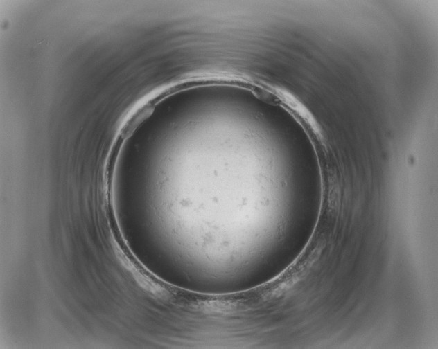 X0000086031380200703231201