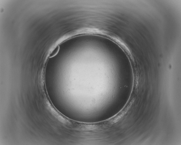 X0000086031382200703231201