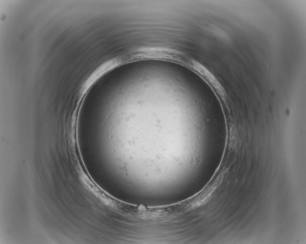 X0000086031386200703231200
