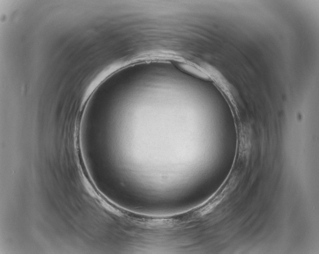 X0000086031390200703231200