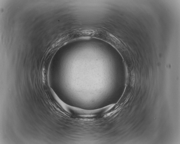X0000086031394200703231159