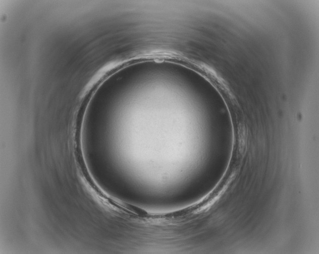 X0000086031422200703231200