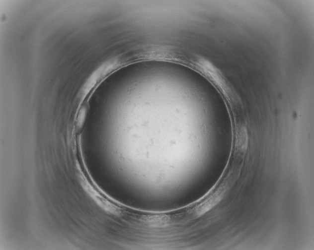X0000086031434200703231200